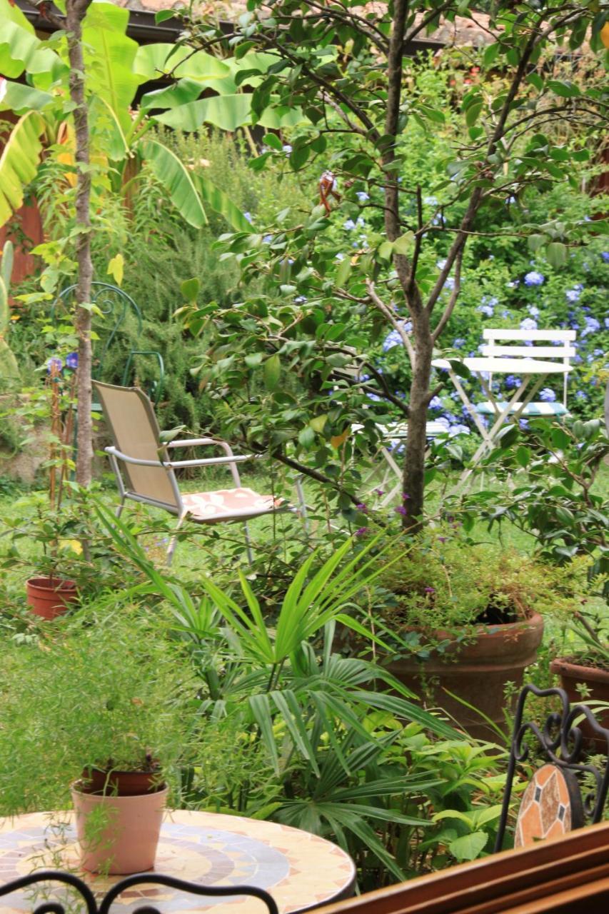 Studios Garden Terrace Oltrarno Florenz Exterior foto